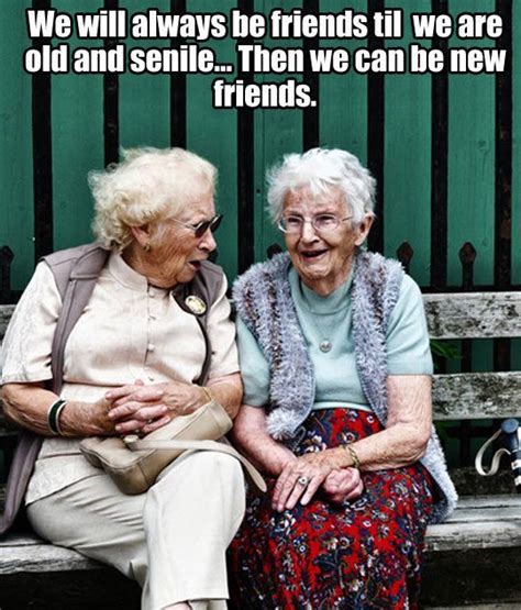 old lady friends meme|old lady best friend meme.